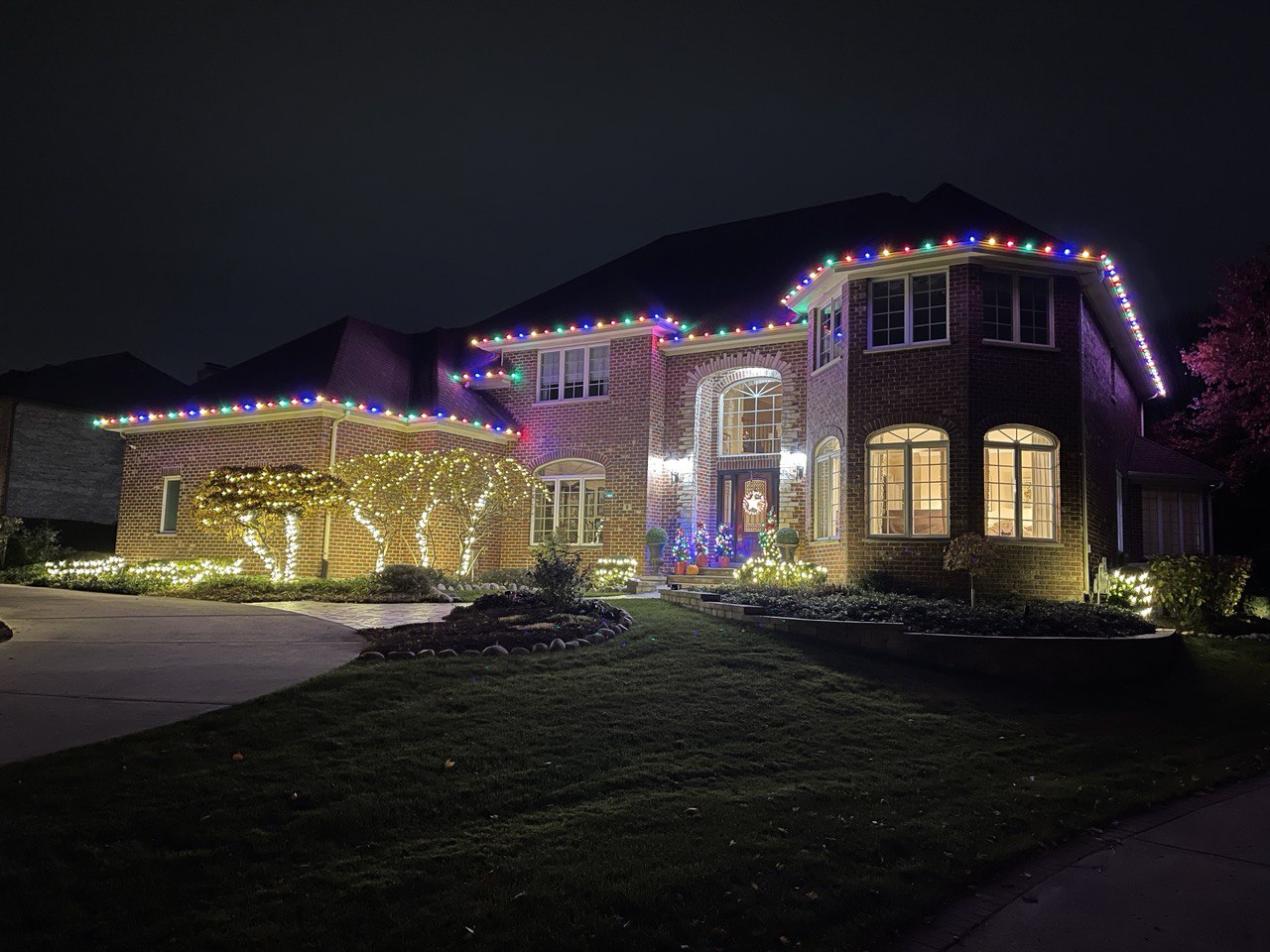 CHRISTMAS LIGHTS REMOVAL Service